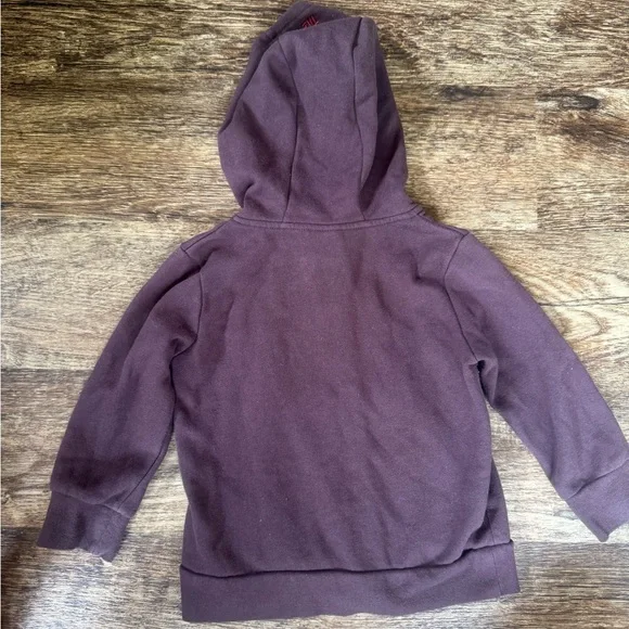Warner Bros. Brown Taz Hoodie for Kids - Picture 4 of 4